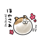 福井育ちのびゃっくん（個別スタンプ：28）