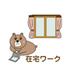 くまっ太くんの毎日使える24種類のスタンプ（個別スタンプ：24）