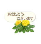 花の挨拶文（個別スタンプ：6）