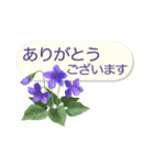 花の挨拶文（個別スタンプ：7）