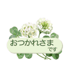 花の挨拶文（個別スタンプ：8）