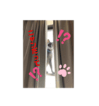 ロシ夫さんスタンプ3（個別スタンプ：6）