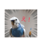 織部おりべ（個別スタンプ：7）