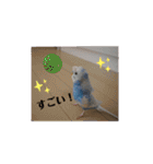 織部おりべ（個別スタンプ：14）