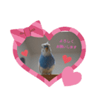 織部おりべ（個別スタンプ：15）