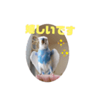 織部おりべ（個別スタンプ：16）