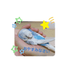 織部おりべ（個別スタンプ：20）