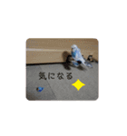 織部おりべ（個別スタンプ：21）
