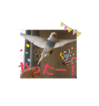 織部おりべ（個別スタンプ：23）