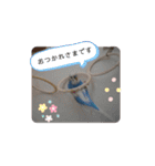 織部おりべ（個別スタンプ：24）