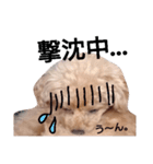 リラピ④（個別スタンプ：25）