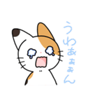 三毛猫ミケさんその2（個別スタンプ：40）