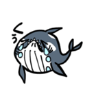 シャチクジラくん（個別スタンプ：16）