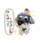 Jackの日常スタンプ6（個別スタンプ：11）