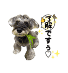 Jackの日常スタンプ6（個別スタンプ：14）