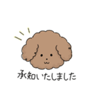 ほんわかな犬《敬語》（個別スタンプ：9）