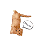 トト君メロちゃんスタンプ②（個別スタンプ：4）