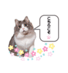 トト君メロちゃんスタンプ②（個別スタンプ：9）
