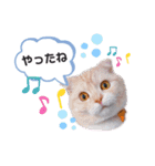 トト君メロちゃんスタンプ②（個別スタンプ：10）