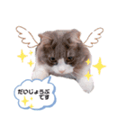 トト君メロちゃんスタンプ②（個別スタンプ：11）