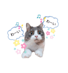 トト君メロちゃんスタンプ②（個別スタンプ：18）