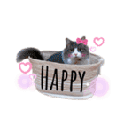 トト君メロちゃんスタンプ②（個別スタンプ：20）