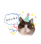 トト君メロちゃんスタンプ②（個別スタンプ：27）