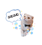 トト君メロちゃんスタンプ②（個別スタンプ：28）