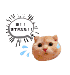 トト君メロちゃんスタンプ②（個別スタンプ：30）