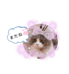 トト君メロちゃんスタンプ②（個別スタンプ：31）