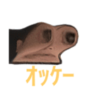 君にチェックイン（個別スタンプ：3）
