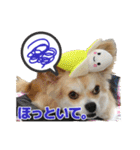 迷探偵犬コナンちゃん（個別スタンプ：13）