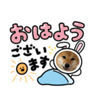 柴犬姉妹らむるん ❤︎*。（個別スタンプ：4）