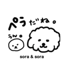 sora ＆ sora かわいいワンコ。そらちゃん♫（個別スタンプ：1）