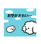 sora ＆ sora かわいいワンコ。そらちゃん♫（個別スタンプ：23）