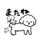 sora ＆ sora かわいいワンコ。そらちゃん♫（個別スタンプ：39）
