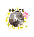 うさ＆ラビィ①（個別スタンプ：5）