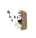 ゆるカワ⭐️パンダスタンプ〈白フチ文字〉（個別スタンプ：2）