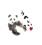 ゆるカワ⭐️パンダスタンプ〈白フチ文字〉（個別スタンプ：5）