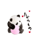 ゆるカワ⭐️パンダスタンプ〈白フチ文字〉（個別スタンプ：14）