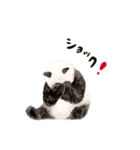 ゆるカワ⭐️パンダスタンプ〈白フチ文字〉（個別スタンプ：18）