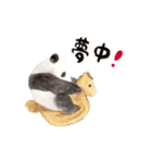 ゆるカワ⭐️パンダスタンプ〈白フチ文字〉（個別スタンプ：20）