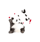 ゆるカワ⭐️パンダスタンプ〈白フチ文字〉（個別スタンプ：24）