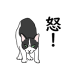 大好き！ねこ3（個別スタンプ：9）