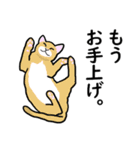 大好き！ねこ3（個別スタンプ：28）