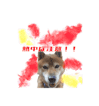 プライベートKOTA（個別スタンプ：1）