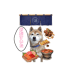 プライベートKOTA（個別スタンプ：2）