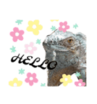 イグ♪︎（個別スタンプ：4）