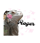 イグ♪︎（個別スタンプ：9）