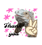 イグ♪︎（個別スタンプ：12）